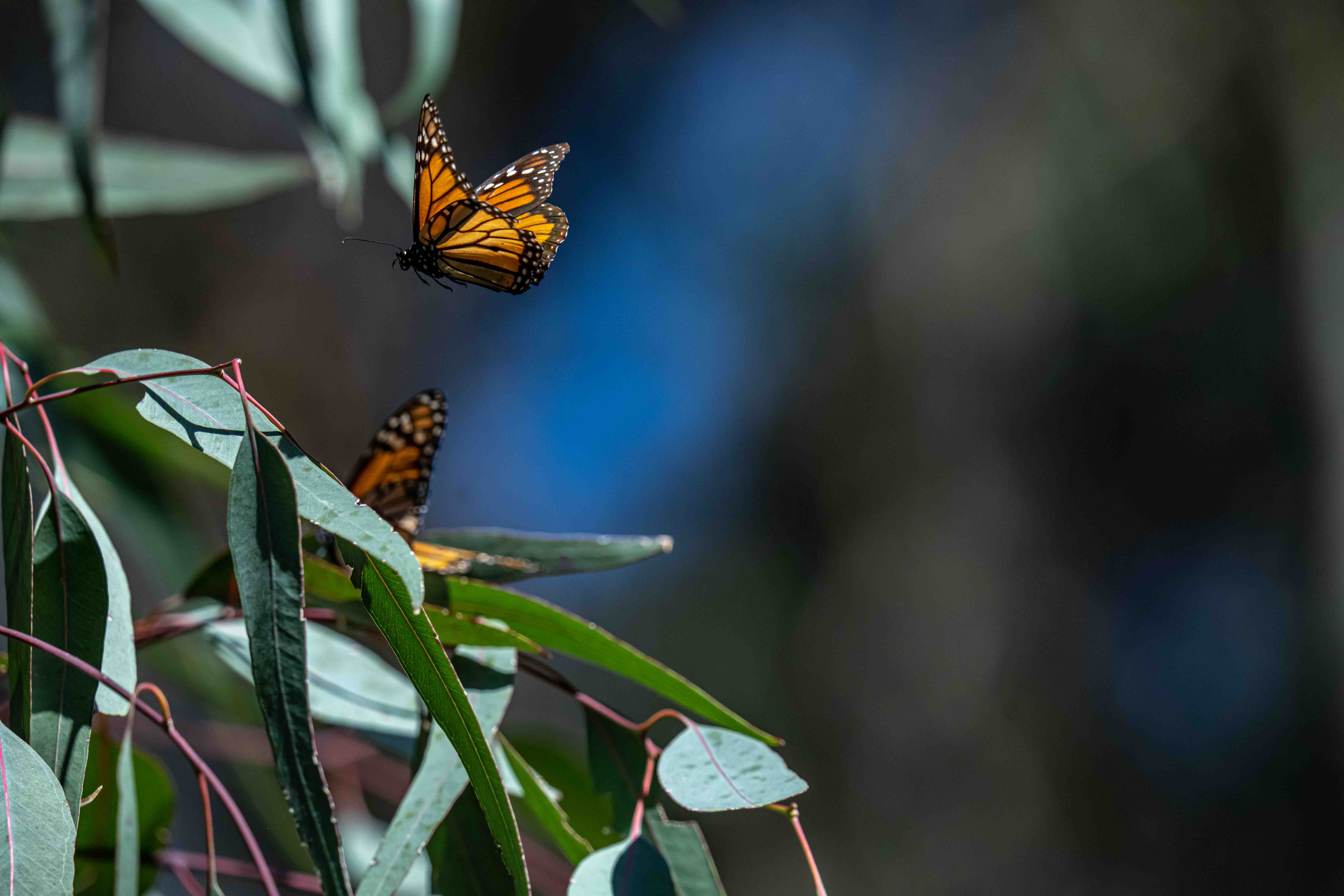 Featured photograph by Avi